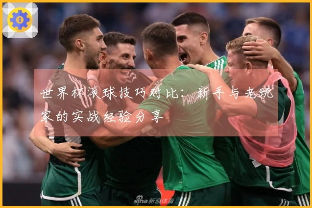 世界杯滚球技巧对比：新手与老玩家的实战经验分享