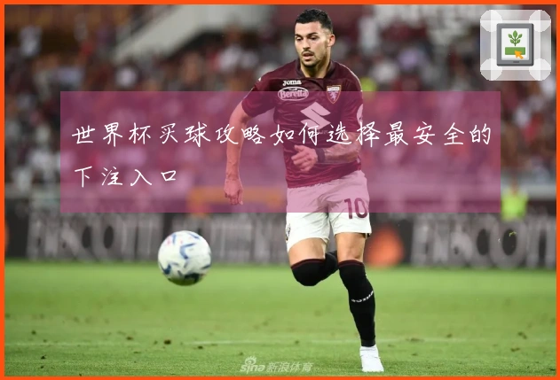 世界杯买球攻略如何选择最安全的下注入口