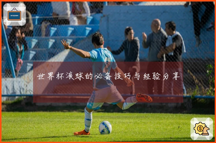 世界杯滚球的必备技巧与经验分享