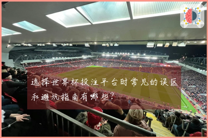 选择世界杯投注平台时常见的误区和避坑指南有哪些？