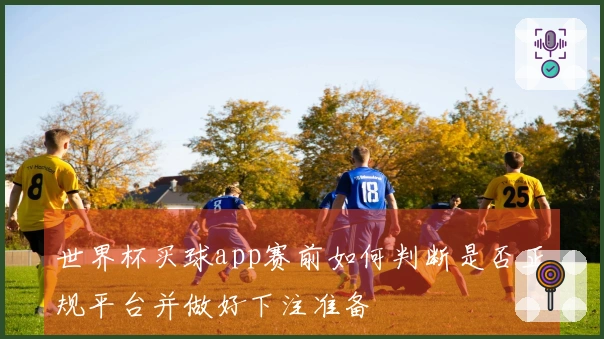 世界杯买球app赛前如何判断是否正规平台并做好下注准备
