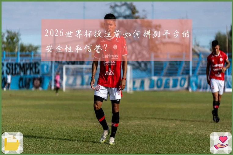 2026世界杯投注前如何辨别平台的安全性和信誉？