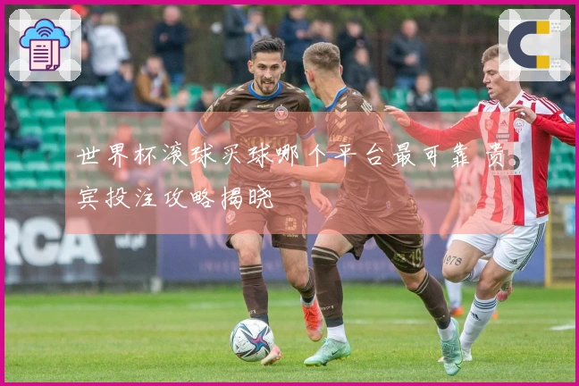 世界杯滚球买球哪个平台最可靠 贵宾投注攻略揭晓