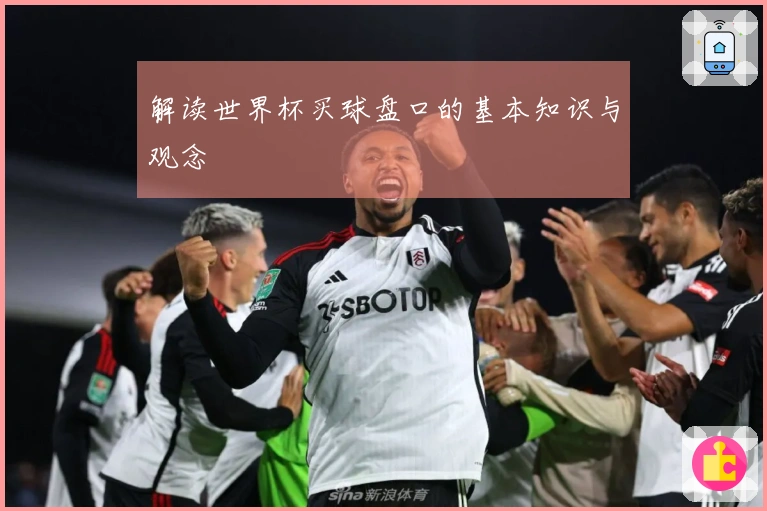 解读世界杯买球盘口的基本知识与观念
