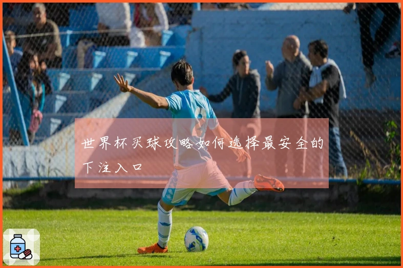 世界杯买球攻略如何选择最安全的下注入口