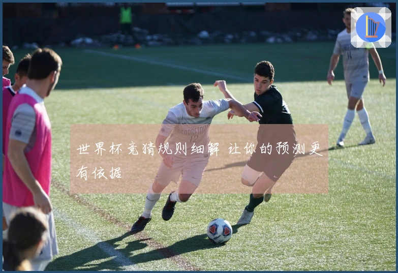 世界杯竞猜规则细解 让你的预测更有依据