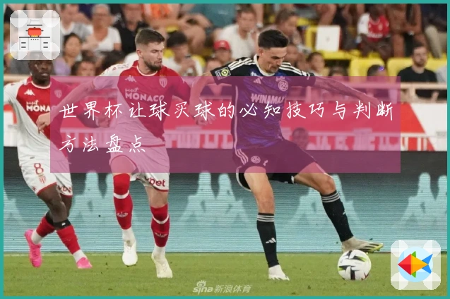 世界杯让球买球的必知技巧与判断方法盘点