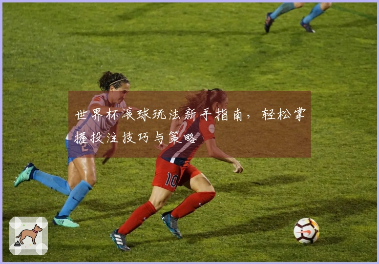 世界杯滚球玩法新手指南，轻松掌握投注技巧与策略