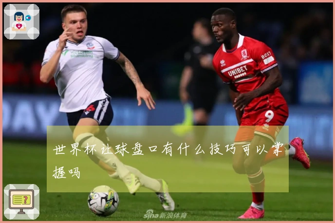 世界杯让球盘口有什么技巧可以掌握吗