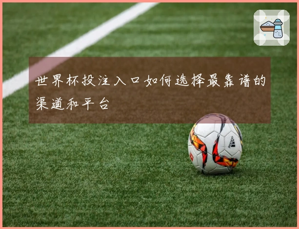 世界杯投注入口如何选择最靠谱的渠道和平台