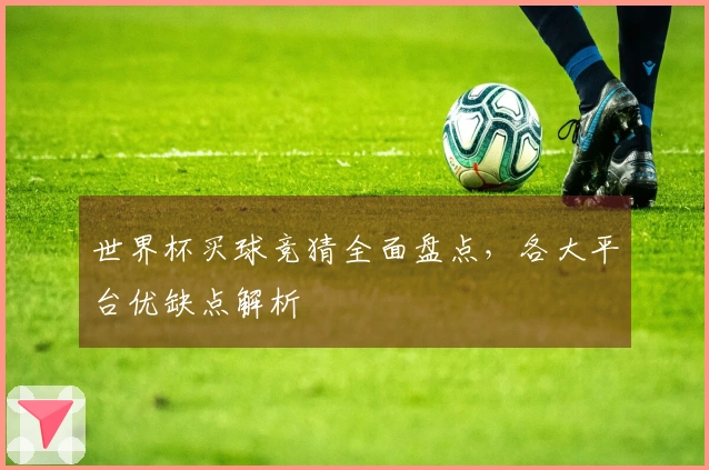世界杯买球竞猜全面盘点，各大平台优缺点解析