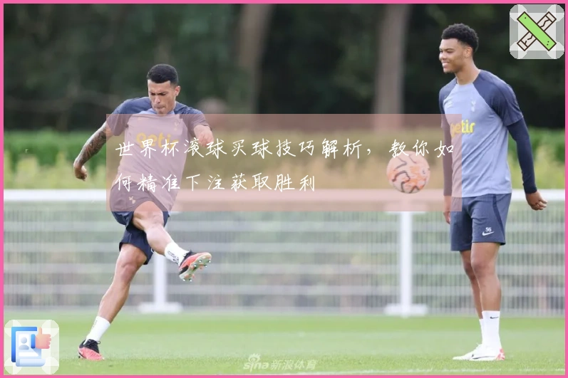 世界杯滚球买球技巧解析，教你如何精准下注获取胜利