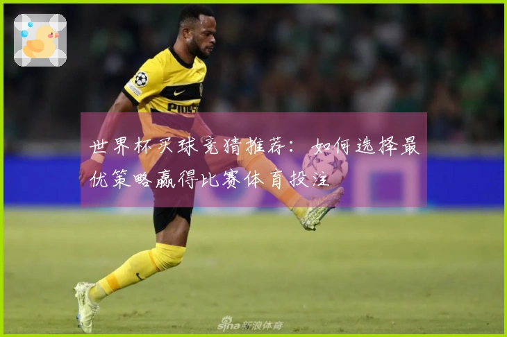 世界杯买球竞猜推荐：如何选择最优策略赢得比赛体育投注