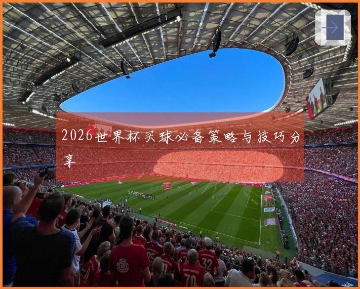 2026世界杯买球必备策略与技巧分享