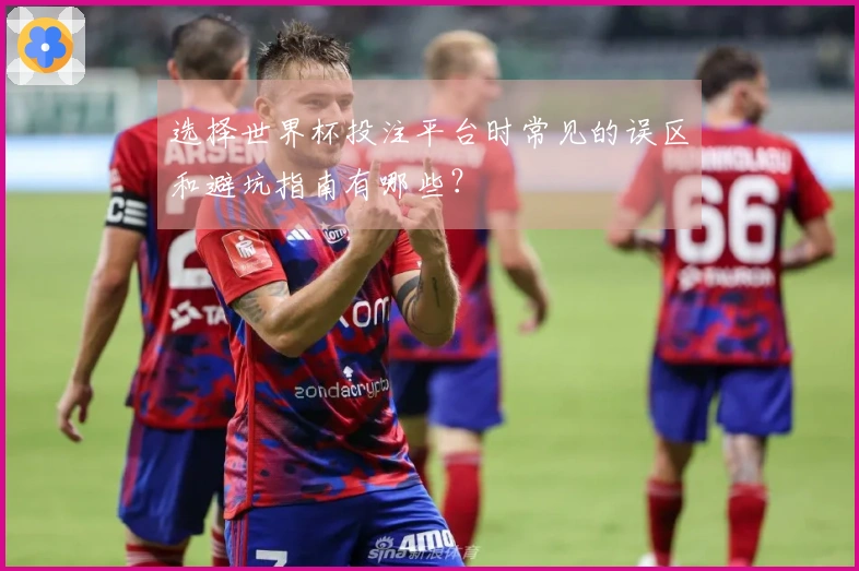 选择世界杯投注平台时常见的误区和避坑指南有哪些？