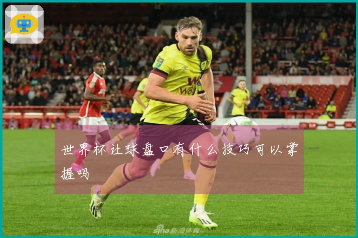 世界杯让球盘口有什么技巧可以掌握吗