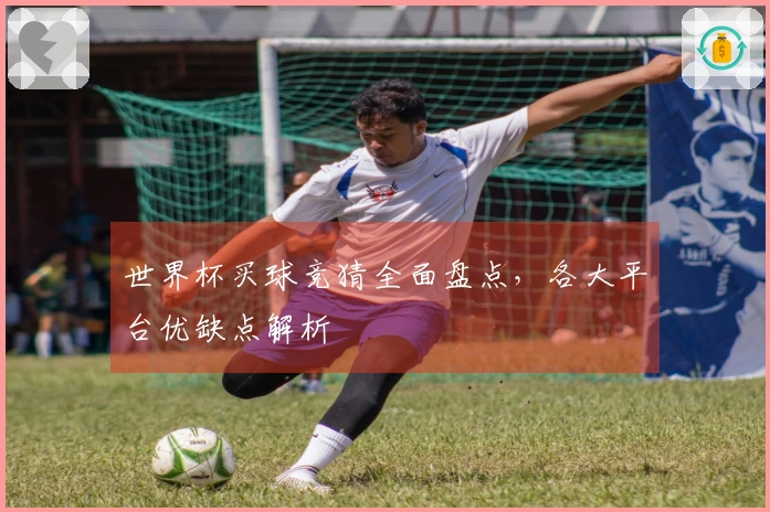世界杯买球竞猜全面盘点,各大平台优缺点解析