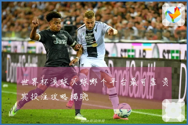 世界杯滚球买球哪个平台最可靠 贵宾投注攻略揭晓
