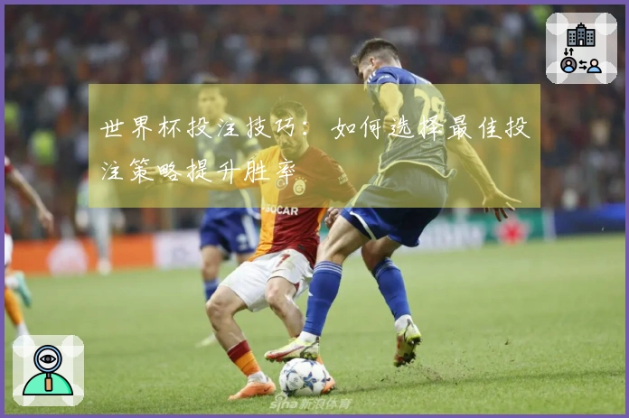 世界杯投注技巧：如何选择最佳投注策略提升胜率