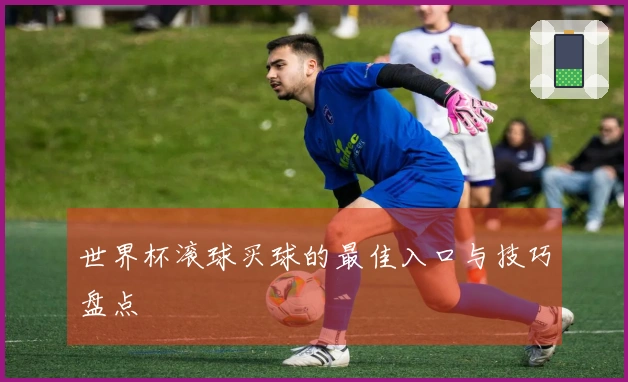 世界杯滚球买球的最佳入口与技巧盘点
