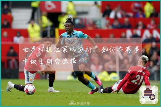 世界杯投注策略分析：如何在赛事中做出明智选择