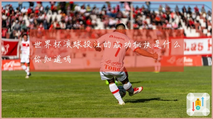 世界杯滚球投注的成功秘诀是什么你知道吗