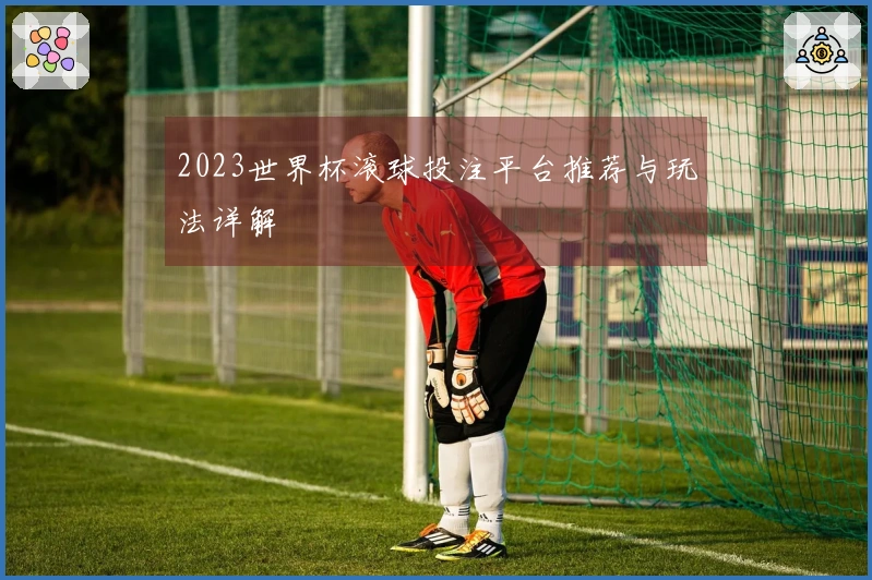 2023世界杯滚球投注平台推荐与玩法详解