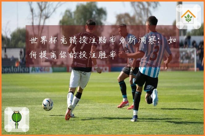 世界杯竞猜投注赔率分析洞察：如何提高你的投注胜率